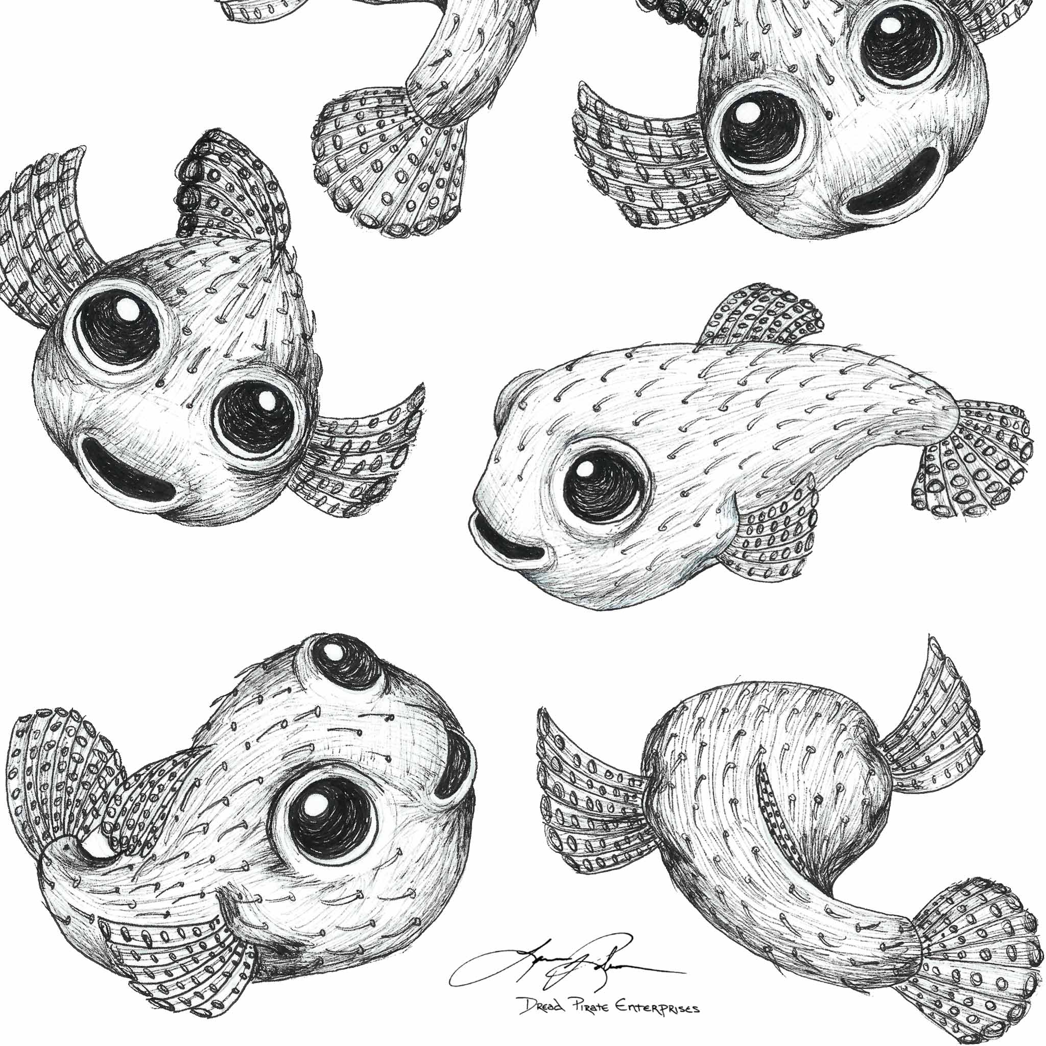 Aloha Puffers and Box Fish Friends