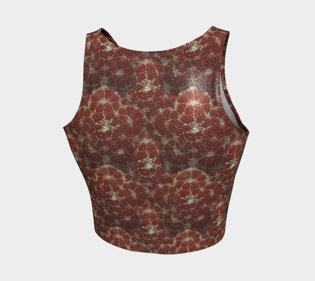 Red Starfish Crop
